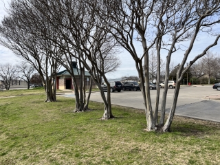 Various Lakeside Activity Center Pics