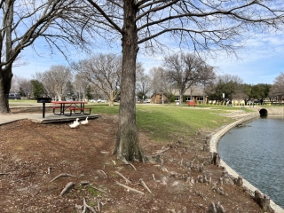 Various Lakeside Activity Center Pics